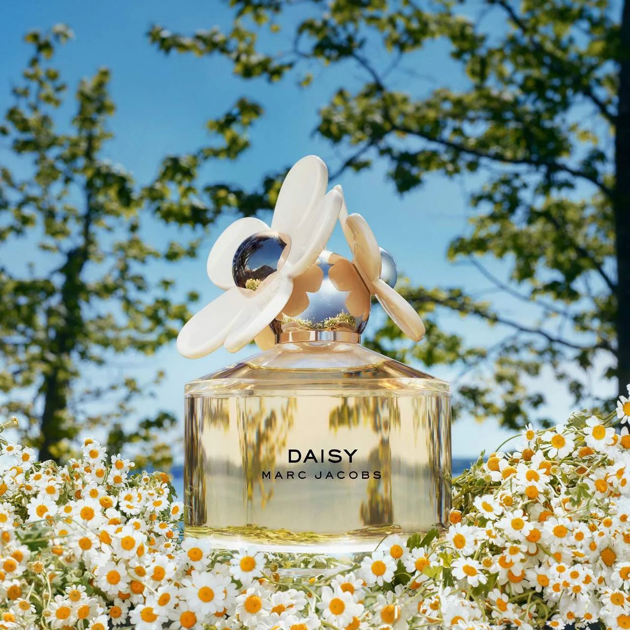 Daisy Marc Jacobs