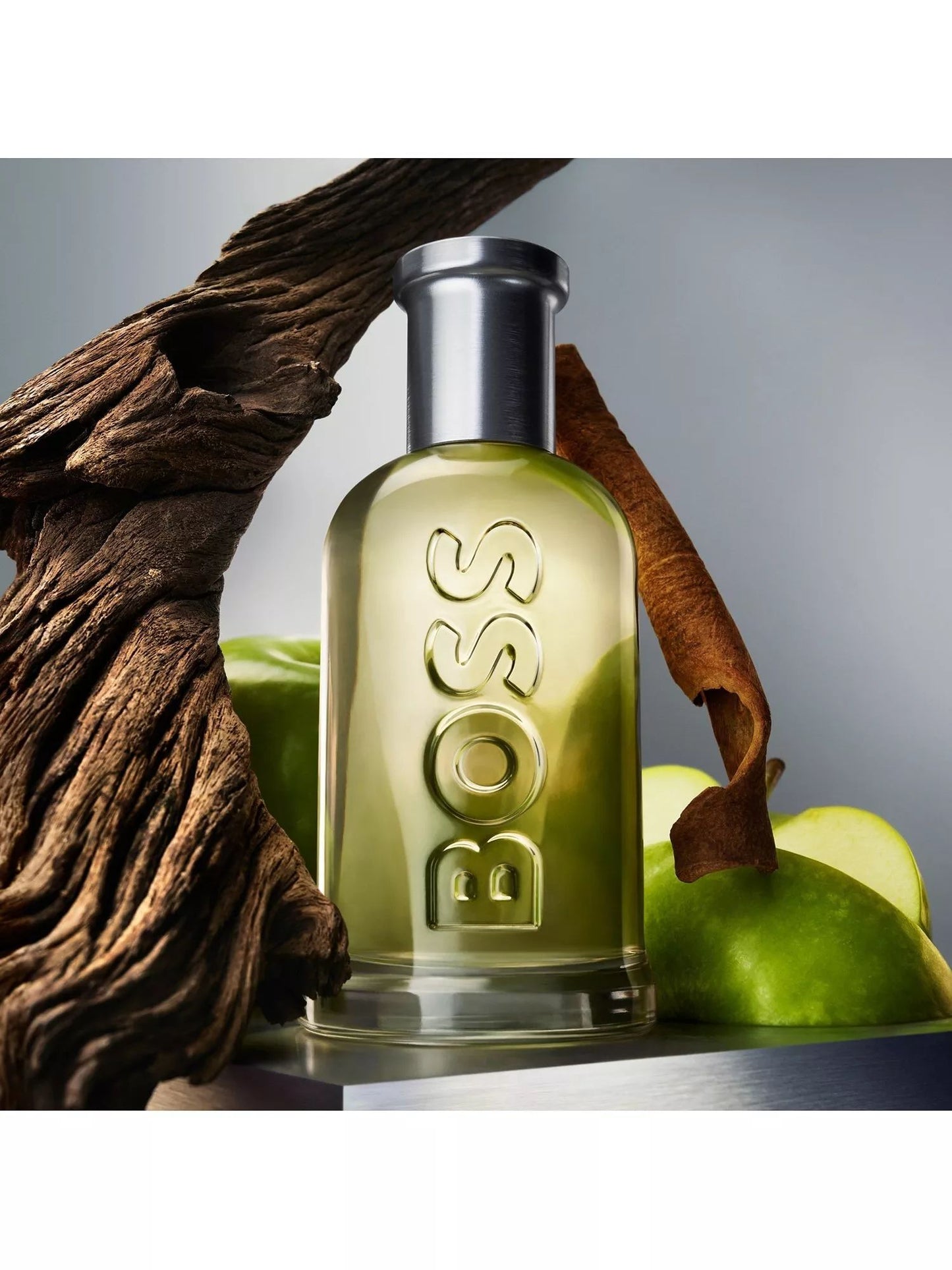 Hugo Boss Hombres