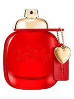 Entrenador Nueva York Love