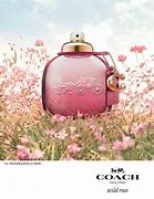 Entrenador Wild Rose