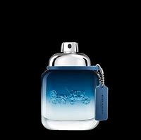 Coach New York Blush