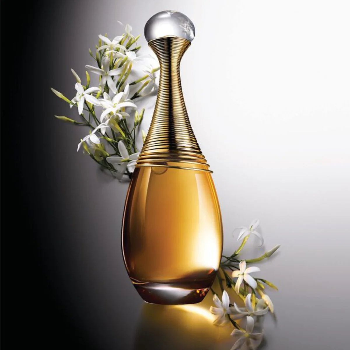 Adoro a Christian Dior